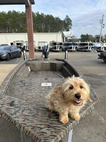 Slide: The Image of Xpress HD16DBX 2024 - 2