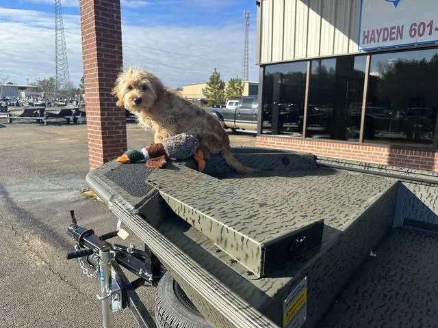 Slide: The Image of War Eagle 1648 LDSV 2026 - 17