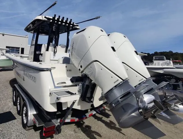 Slide: The Image of Blackwood 290 OPEN 2024 - 20