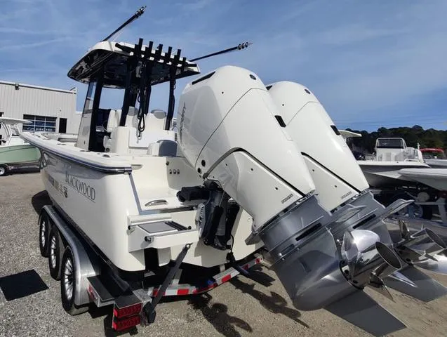 Slide: The Image of Blackwood 290 OPEN 2024 - 3