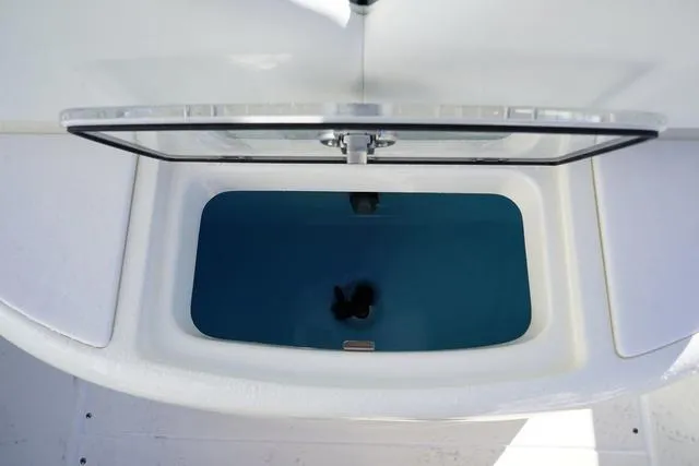 Slide: The Image of Blackwood 270 highdeck 2024 - 48