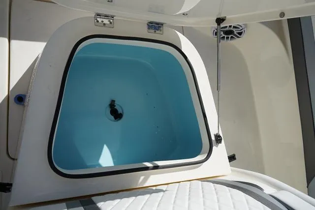 Slide: The Image of Blackwood 270 highdeck 2024 - 59