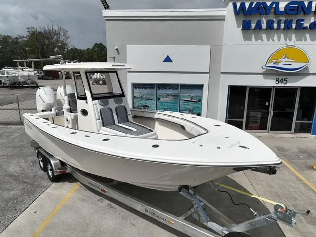 Slide: The Image of Blackwood 290 OPEN 2024 - 1