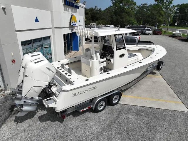 Slide: The Image of Blackwood 290 OPEN 2024 - 3