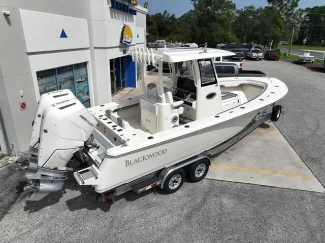 Slide: The Image of Blackwood 290 OPEN 2024 - 87