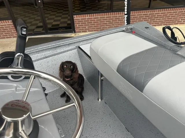 Slide: The Image of Xpress H190B 2025 - 11