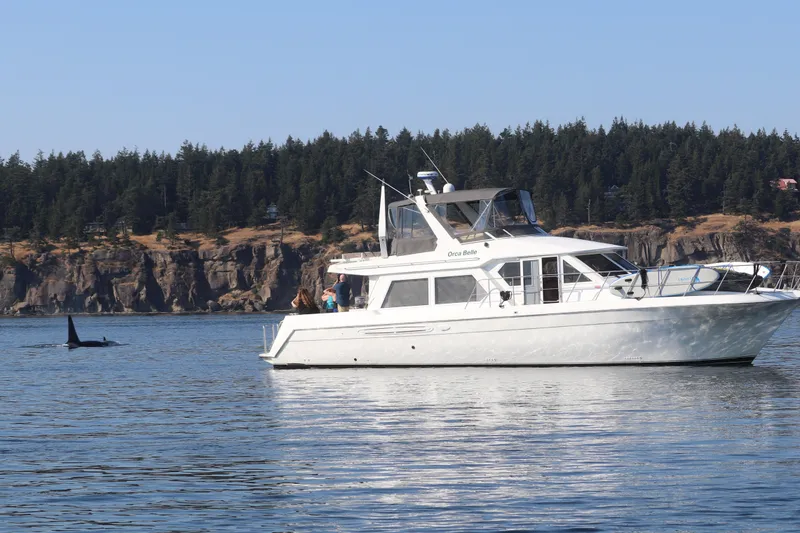 Slide: The Image of Navigator 5300 yacht from 2000 on calm water near forested cliffs, with an orca nearby. - 3