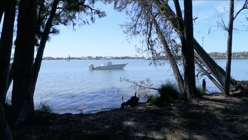 Slide: The Image of A 2020 Costa Custom Boats 264 HC on a serene lake, framed by trees. - 23