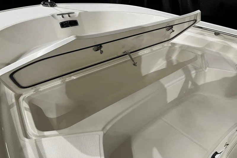 Slide: The Image of Boston Whaler 210 Montauk 2024 - 15