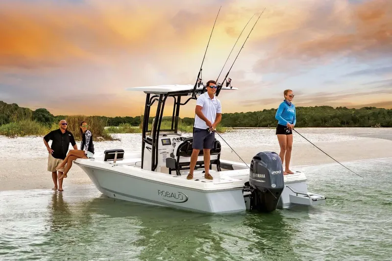 Slide: The Image of FROM THE ROBALO BROCHURE - 20