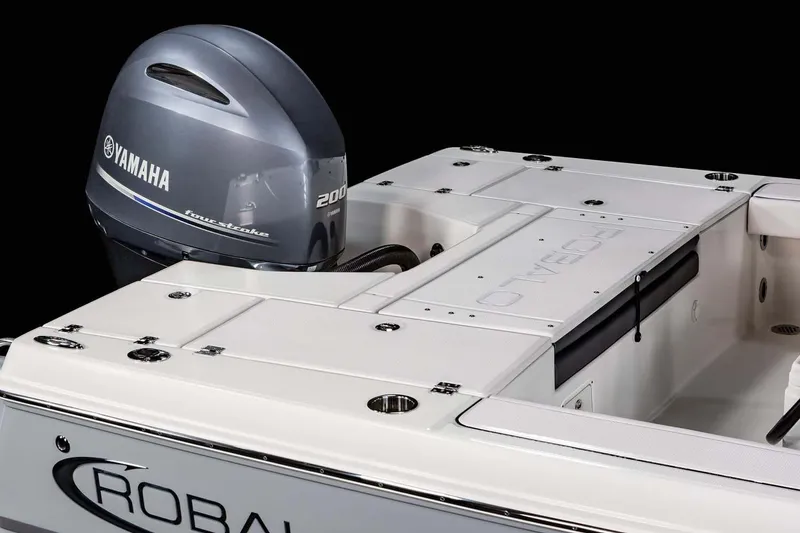 Slide: The Image of FROM THE ROBALO BROCHURE - 30