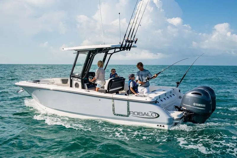 Slide: The Image of FROM THE ROBALO BROCHURE - 22