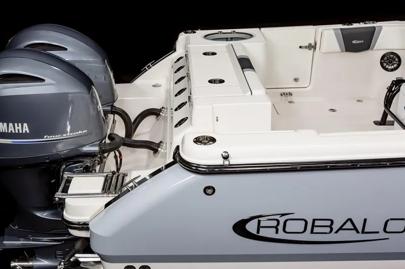 Slide: The Image of FROM THE ROBALO BROCHURE - 29