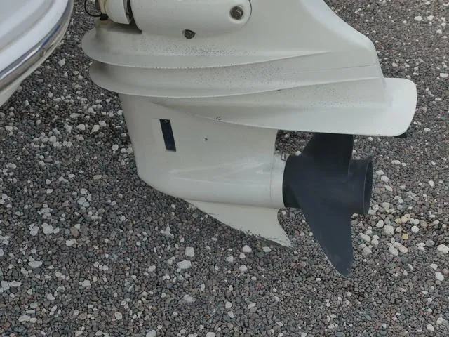 Slide: The Image of Stingray 186 CC 2019 - 12