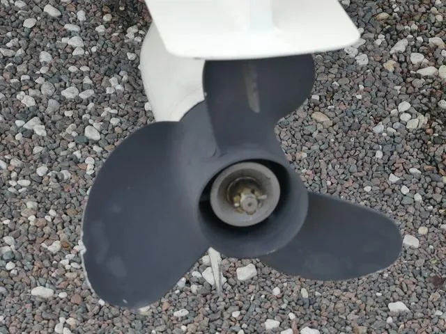 Slide: The Image of Stingray 186 CC 2019 - 13