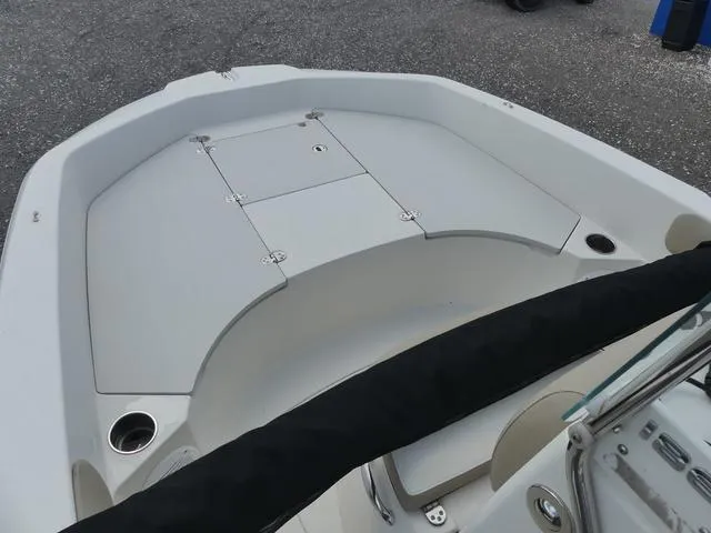 Slide: The Image of Stingray 186 CC 2019 - 14