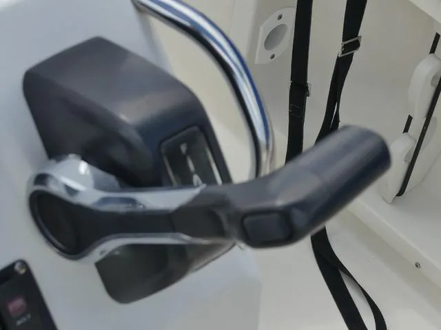 Slide: The Image of Stingray 186 CC 2019 - 20