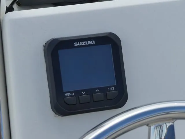 Slide: The Image of Stingray 186 CC 2019 - 21