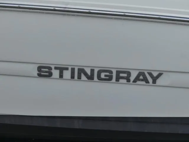 Slide: The Image of Stingray 186 CC 2019 - 8