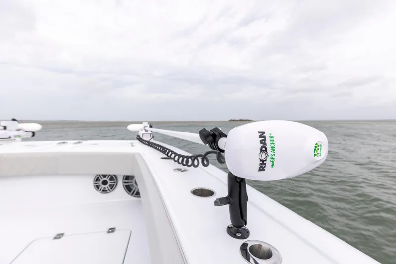 Slide: The Image of Freeman 42LR 2026 - 54