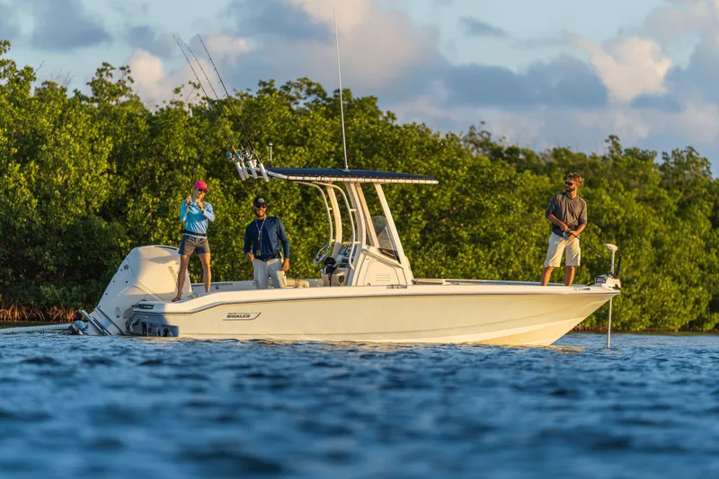Slide: The Image of Boston Whaler 220 Dauntless 2027 - 18
