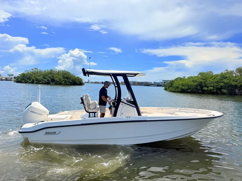The Image of Boston Whaler 220 Dauntless 2027 - 0