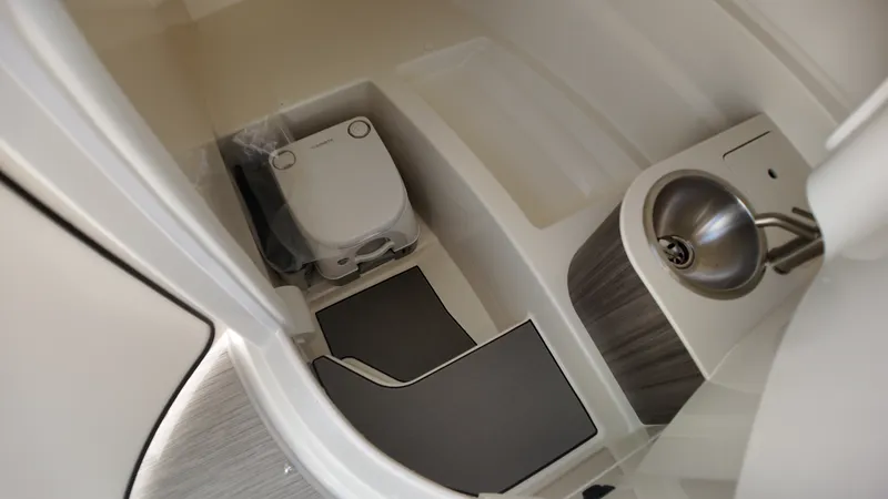 Slide: The Image of Sea Ray SDX 250 Outboard 2027 - 19