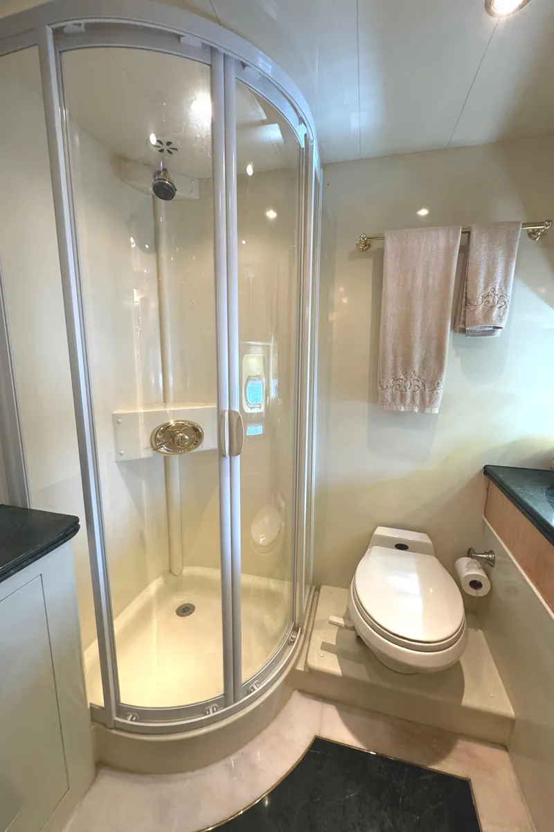 Slide: The Image of VIP Head - 22