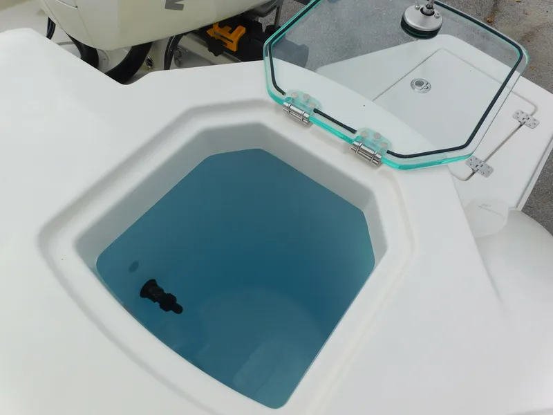 Slide: The Image of Sailfish 312 CC 2024 - 50