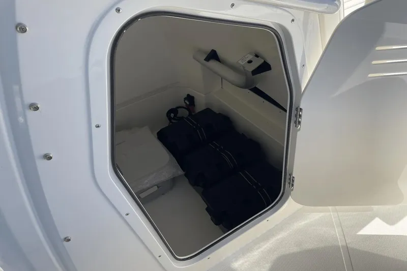 Slide: The Image of Boston Whaler 250 Dauntless 2024 - 21
