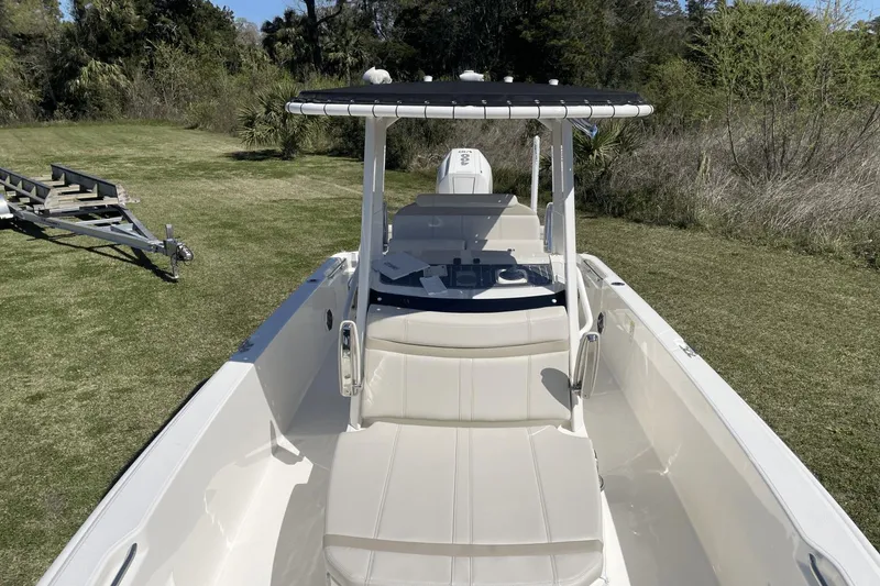 Slide: The Image of Boston Whaler 250 Dauntless 2024 - 23
