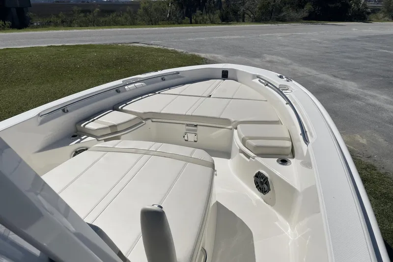 Slide: The Image of Boston Whaler 250 Dauntless 2024 - 24