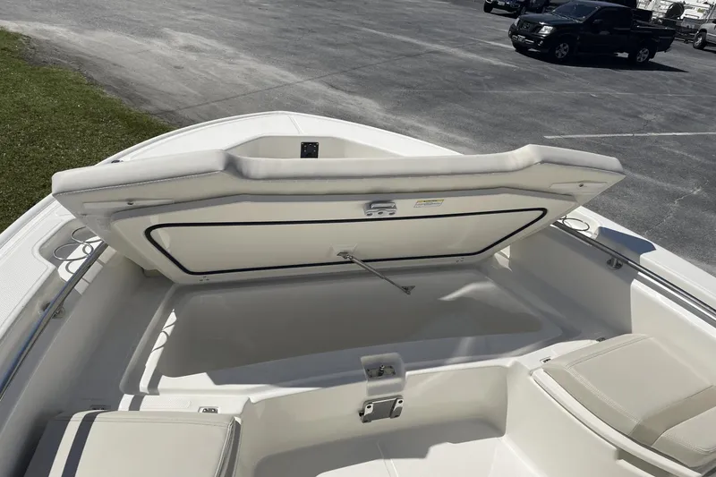 Slide: The Image of Boston Whaler 250 Dauntless 2024 - 27