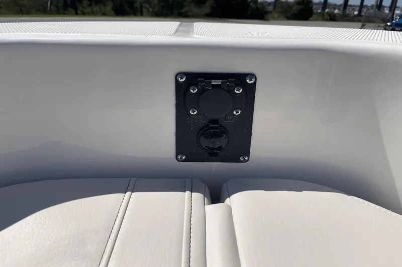 Slide: The Image of Boston Whaler 250 Dauntless 2024 - 29