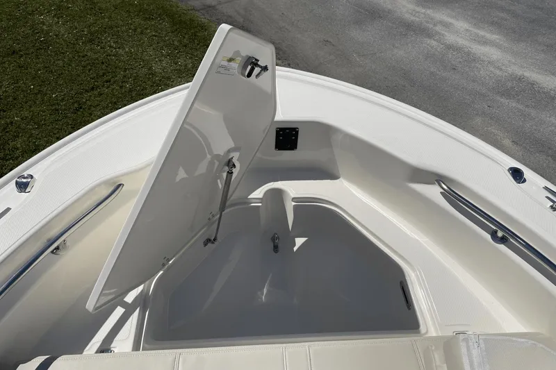 Slide: The Image of Boston Whaler 250 Dauntless 2024 - 30