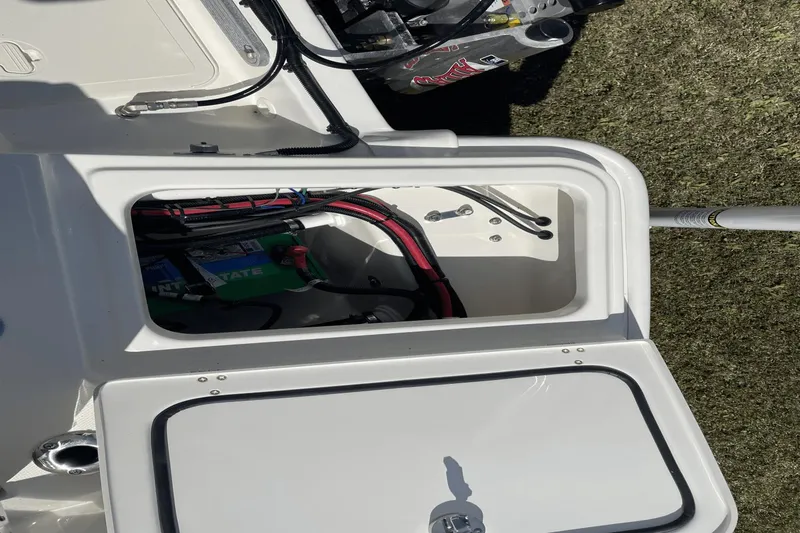 Slide: The Image of Boston Whaler 250 Dauntless 2024 - 32