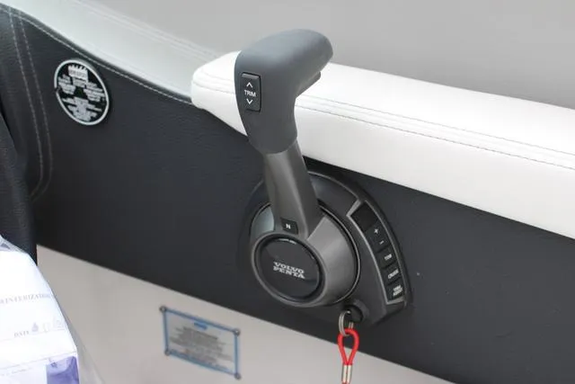 Slide: The Image of Regal LS6 Surf 2024 - 59