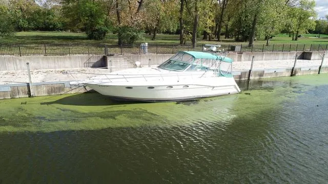 Slide: The Image of Cruisers Yachts 3675 Esprit 1994 - 4