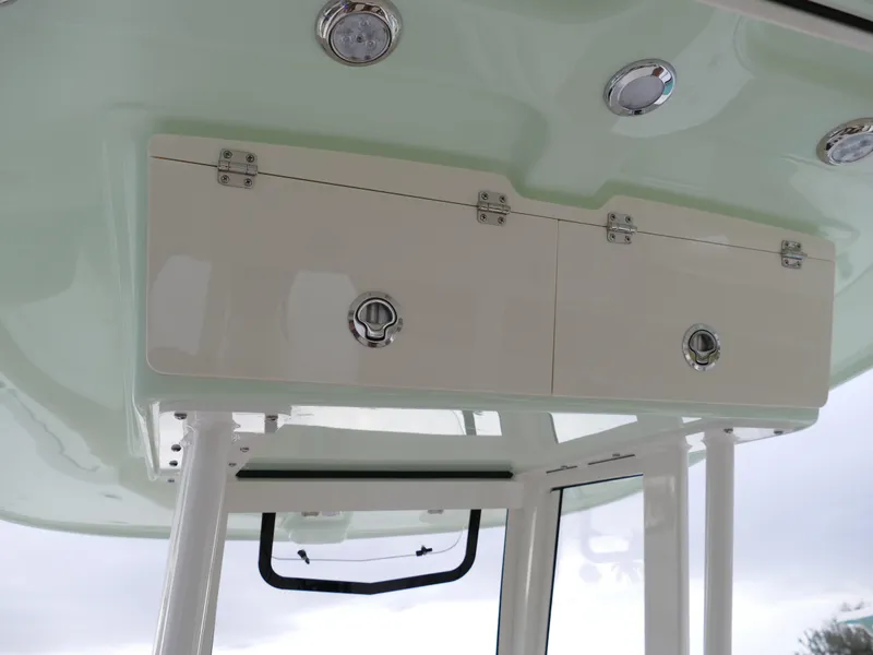 Slide: The Image of 2024 Pioneer 270 Pelagic boat storage compartments and overhead lights. - 19