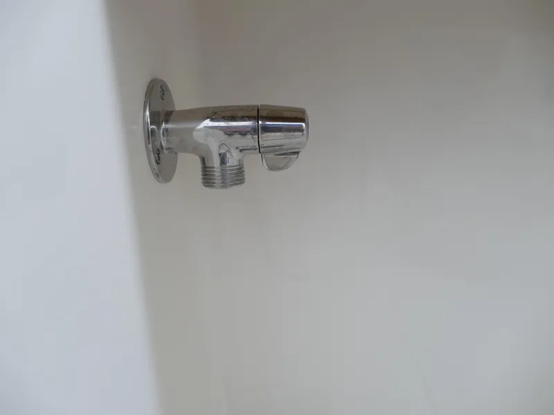 Slide: The Image of Pioneer 270 Pelagic 2024 - 52