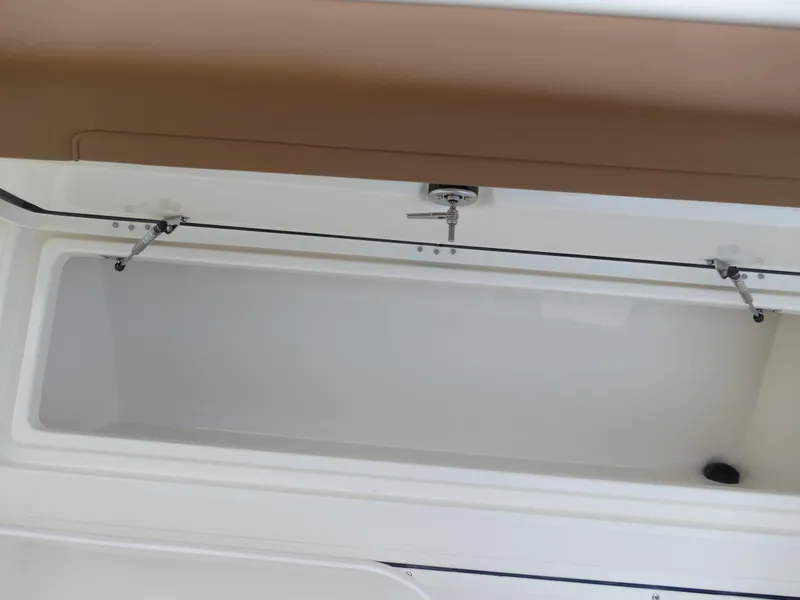 Slide: The Image of Pioneer 270 Pelagic 2024 - 55