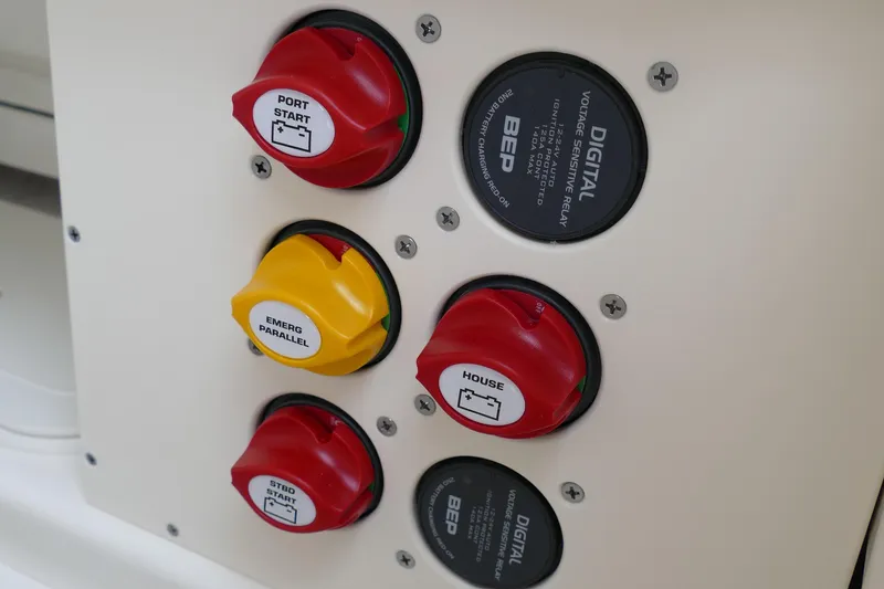 Slide: The Image of Pioneer 270 Pelagic 2024 - 64