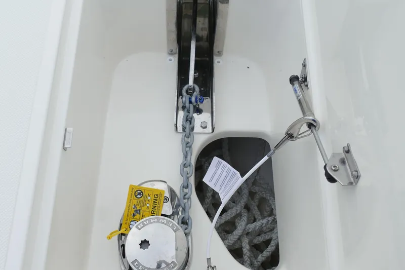 Slide: The Image of Pioneer 270 Pelagic 2024 - 65