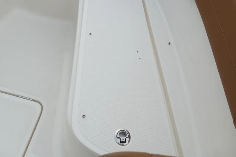 Slide: The Image of Pioneer 270 Pelagic 2024 - 68