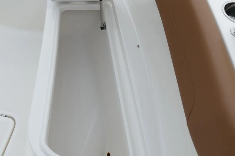 Slide: The Image of Pioneer 270 Pelagic 2024 - 69