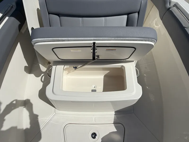 Slide: The Image of Boston Whaler 250 Outrage 2027 - 23