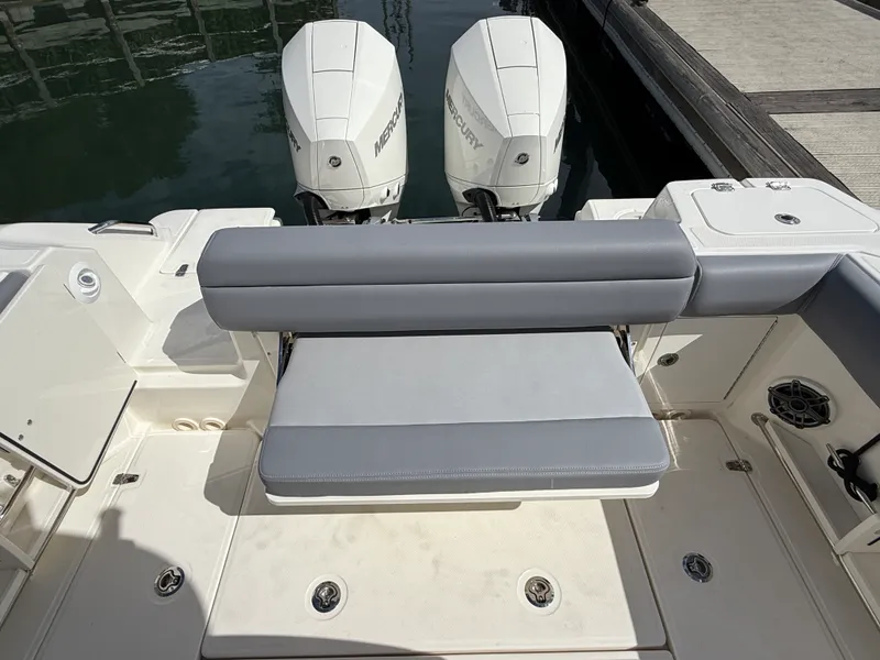 Slide: The Image of Boston Whaler 250 Outrage 2027 - 9