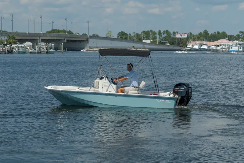 The Image of Boston Whaler 150 Montauk 2027 - 0