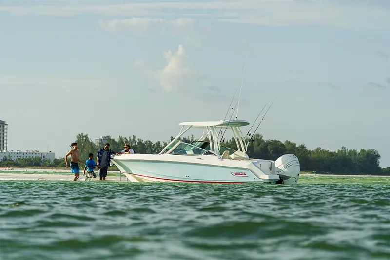 Slide: The Image of Boston Whaler 240 Vantage 2027 - 47