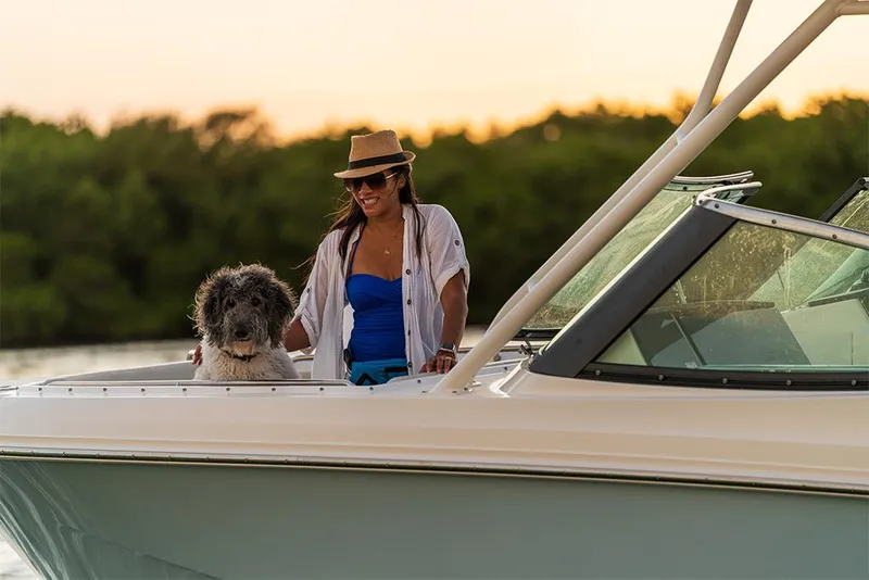 Slide: The Image of Boston Whaler 240 Vantage 2027 - 58